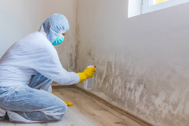 Hvac And Air Duct Mold Remediation inspection of HVAC system in Branchville
